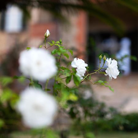 Villa Rappis Imperia Buitenkant foto