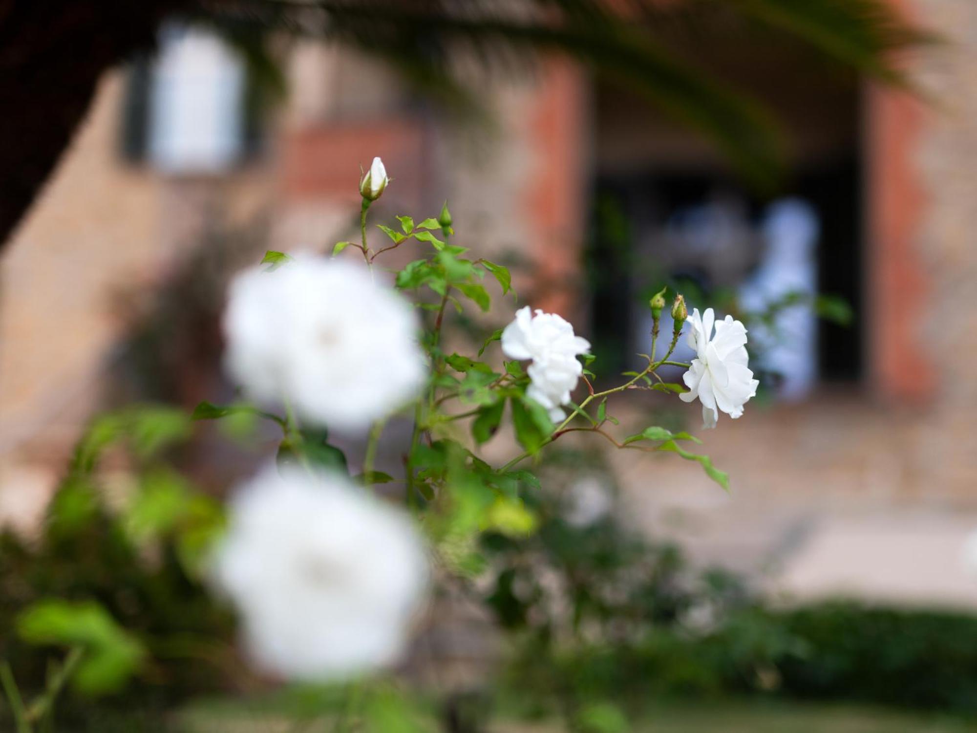 Villa Rappis Imperia Buitenkant foto