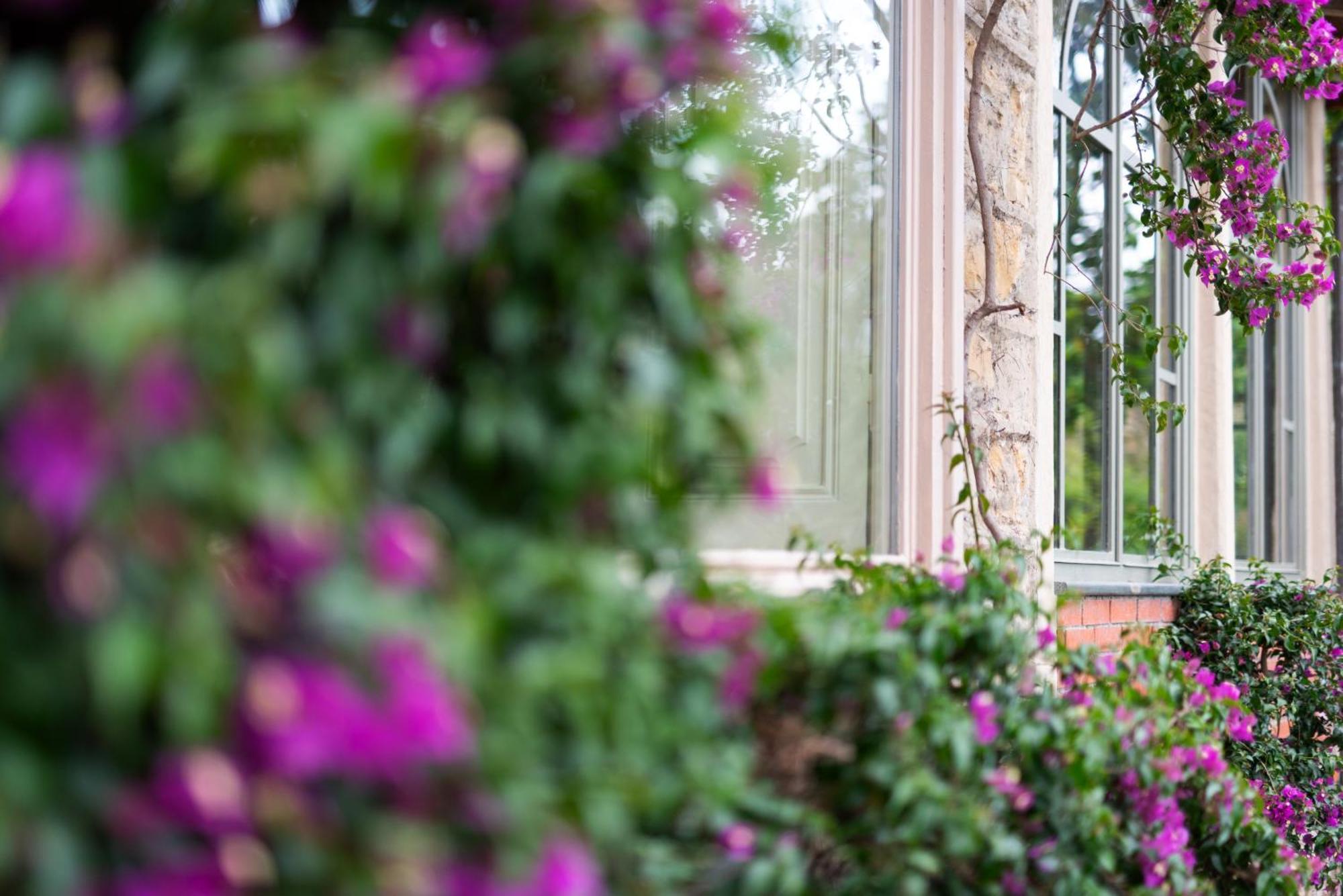 Villa Rappis Imperia Buitenkant foto