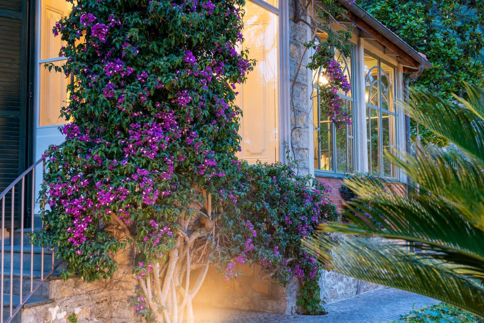 Villa Rappis Imperia Buitenkant foto