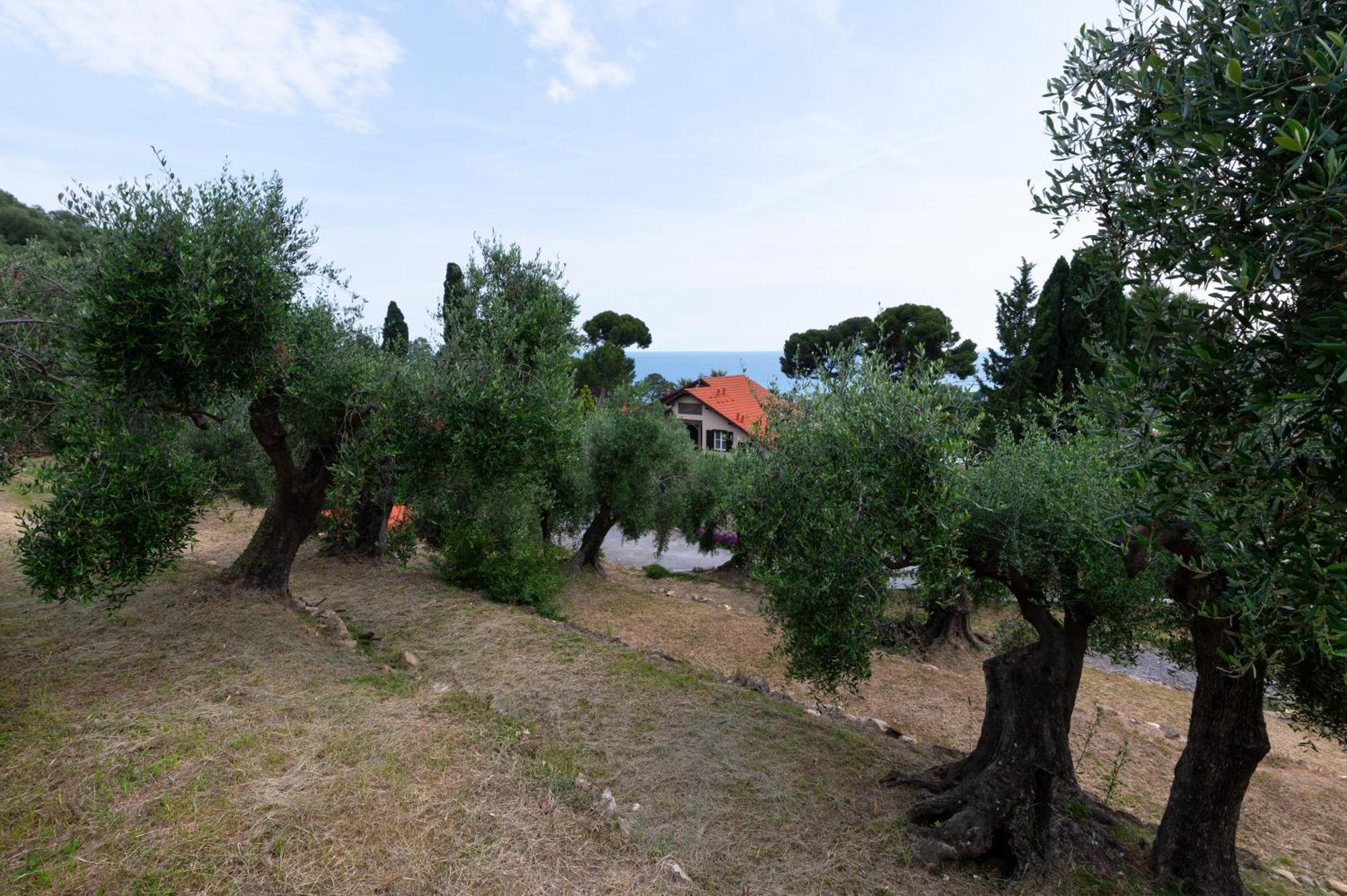 Villa Rappis Imperia Buitenkant foto